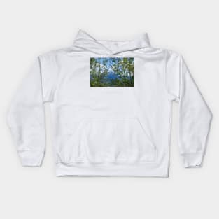 Colorado Mountain 3 Kids Hoodie